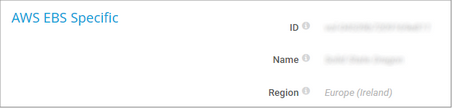 AWS EBS Specific AWS EBS Specific