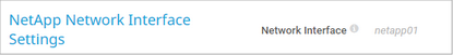 NetApp Network Interface Settings NetApp Network Interface Settings